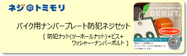 lW̃g~ oCNio[v[g